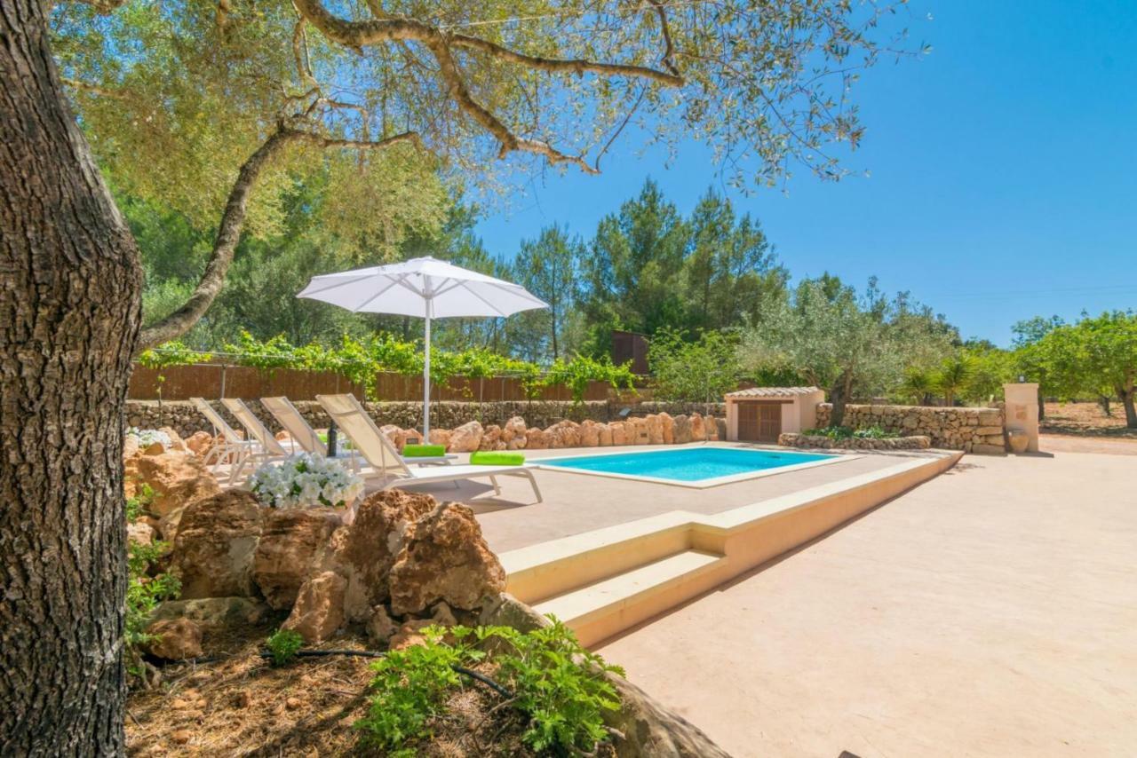 Villa Es Tancat Prim Algaida (Mallorca)
