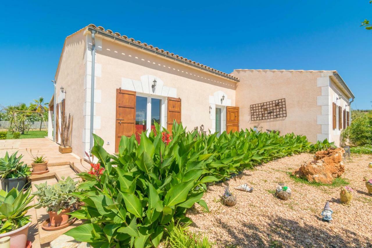 Es Pla Cala Millor (Mallorca)