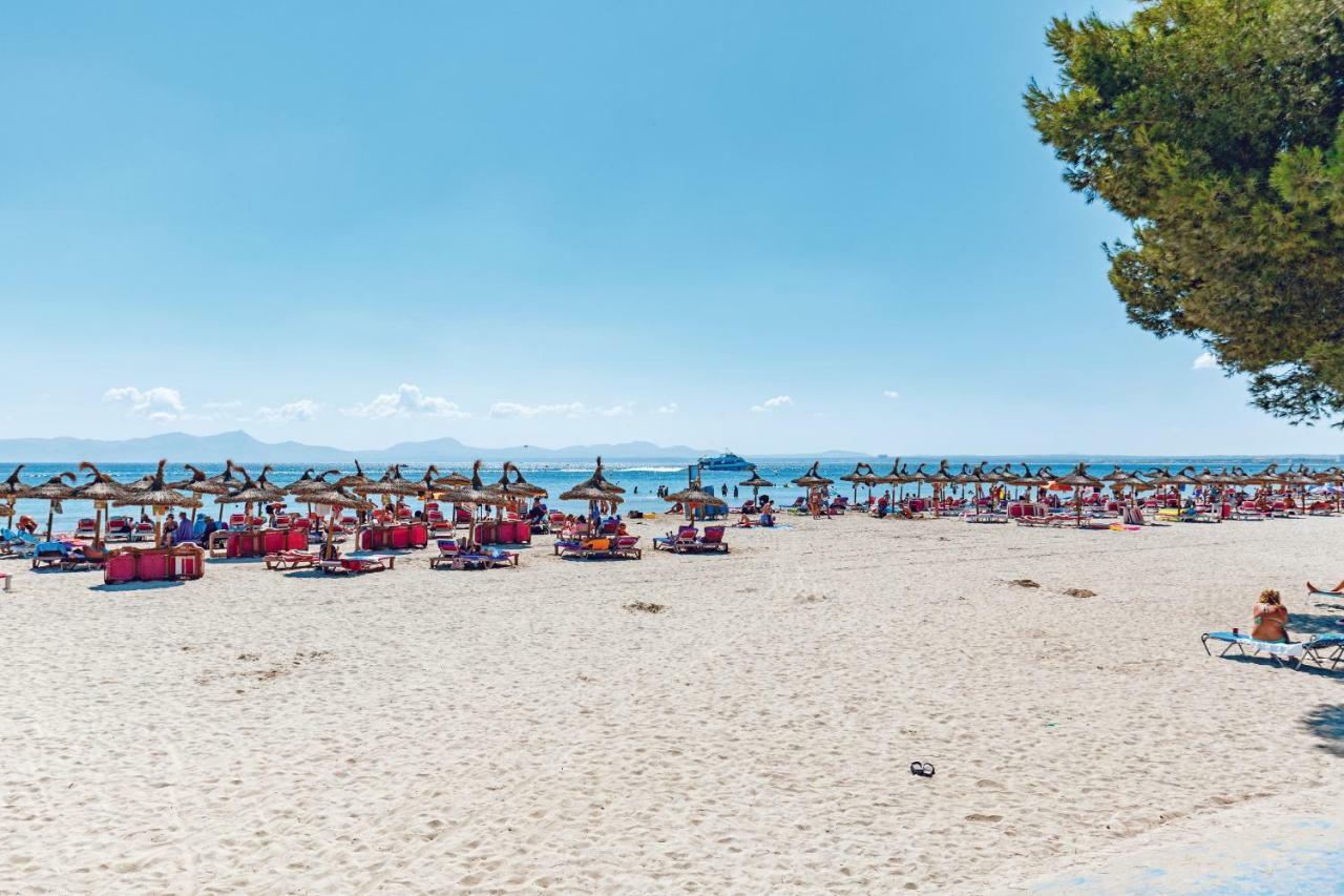 Ferrer Playa De Alcudia * Puerto de Alcúdia