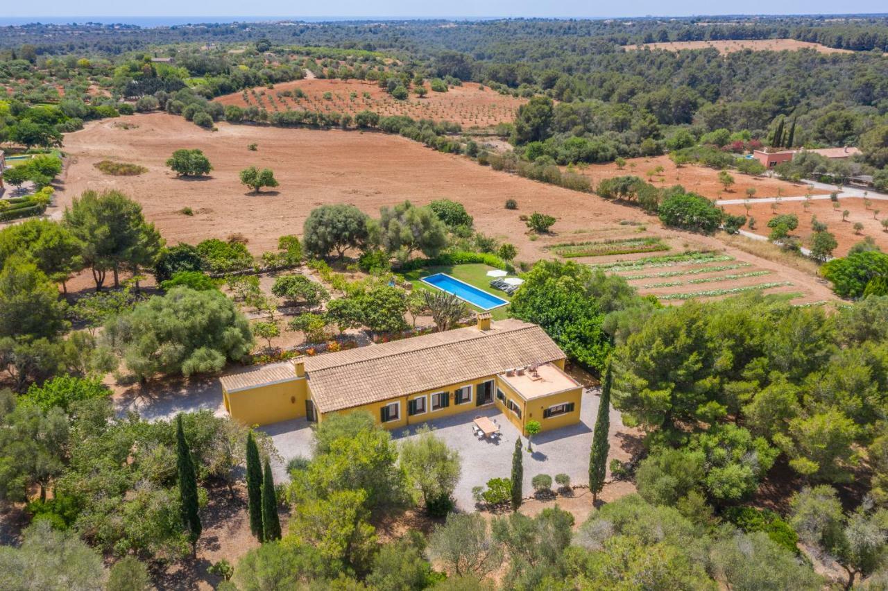 Son Blat Villa