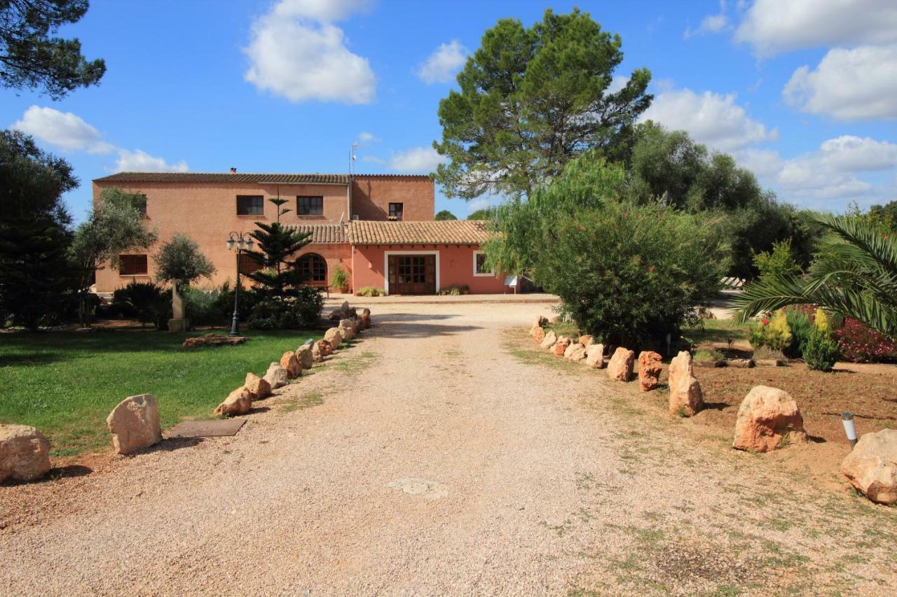 Cami De Son Lluch Villa Algaida (Mallorca)