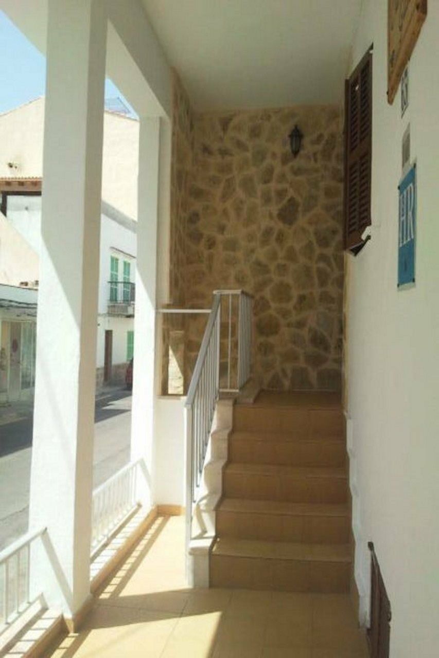 Gallu Cala Ratjada (Mallorca)