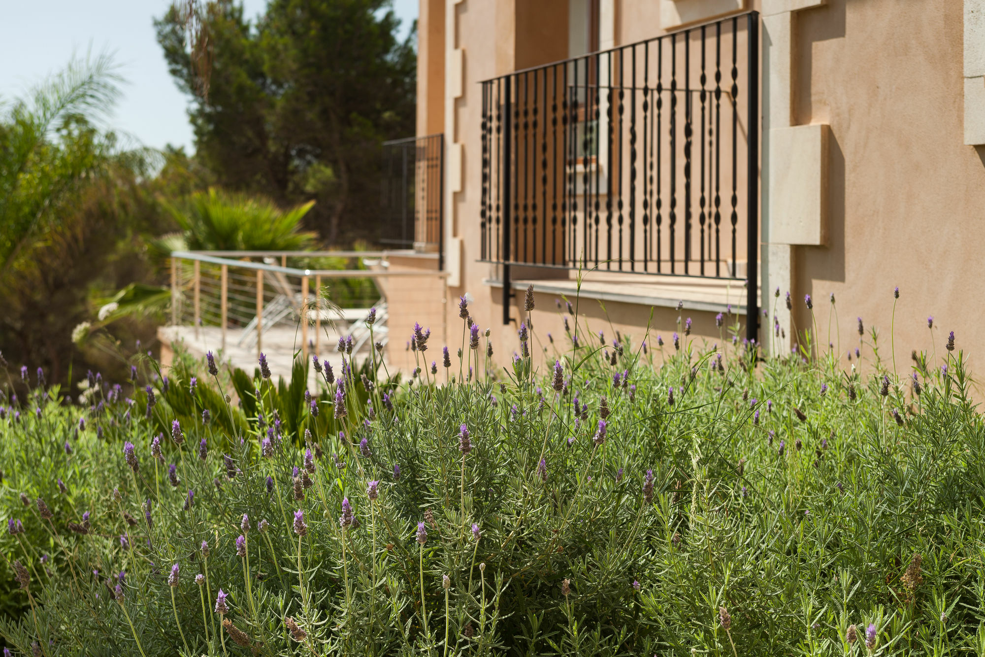 Villa Bou Ros Es Foners Fenalitx (Fenalich)