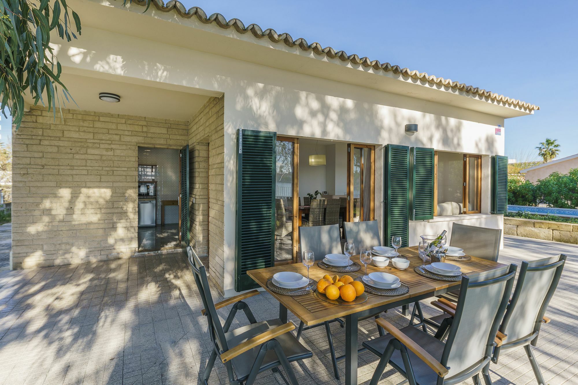 Ficus Villa *