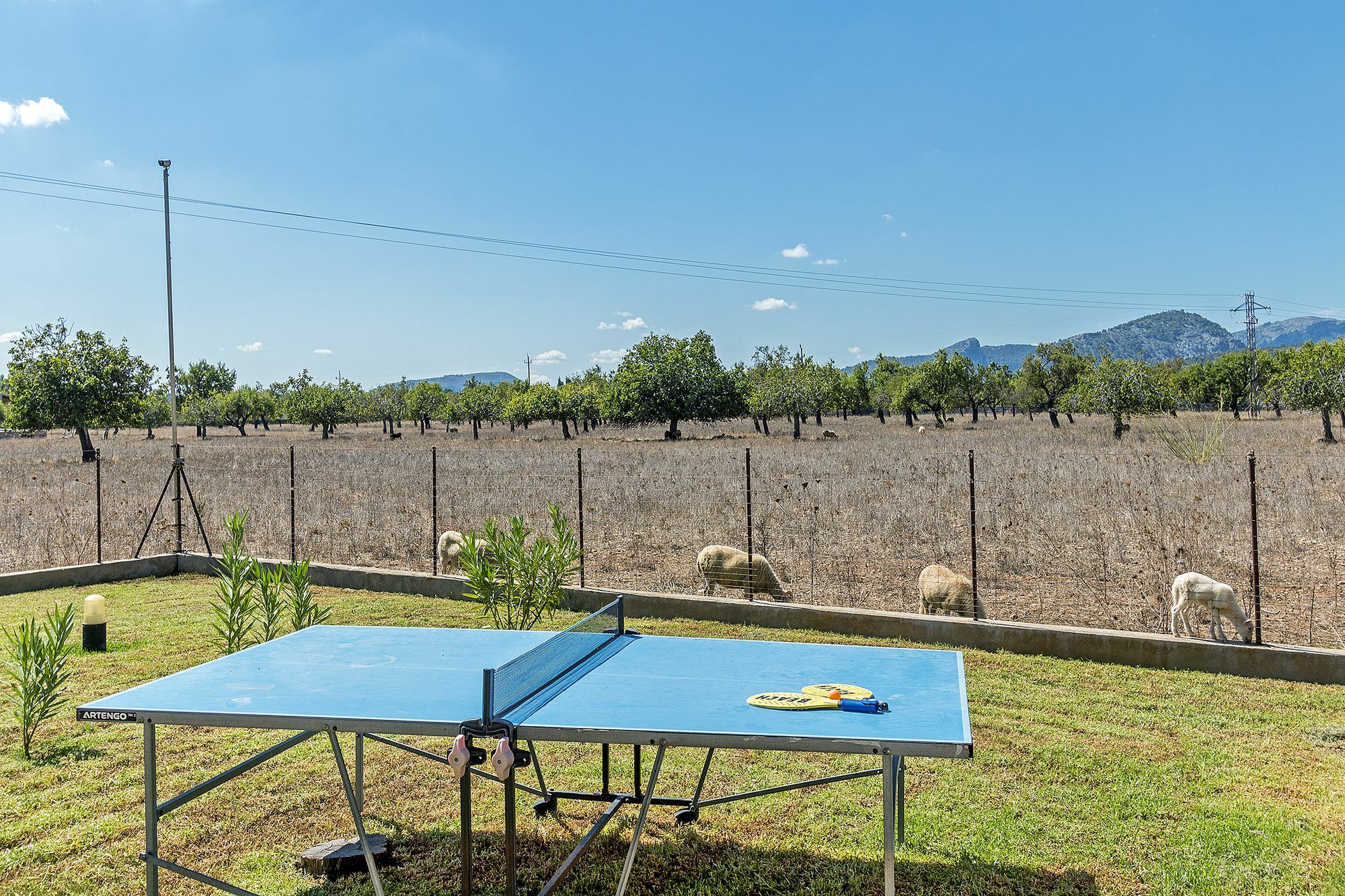 Vinya 3 * Puerto Pollensa
