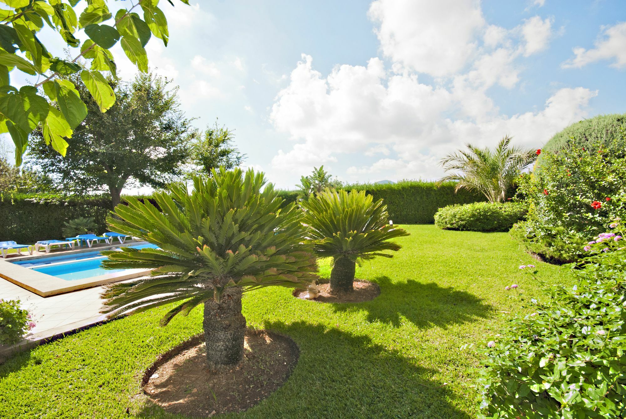 Villa Rosaleda Puerto Pollensa