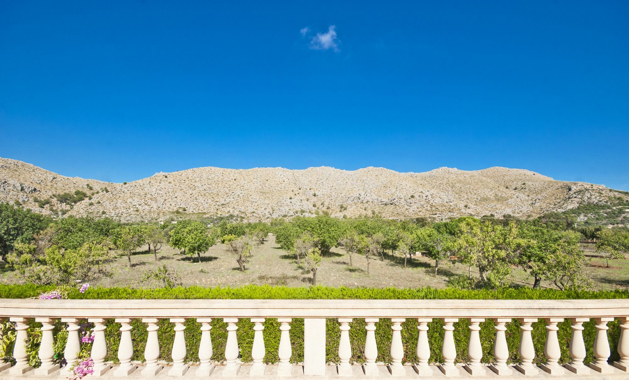Villa Rosaleda Puerto Pollensa