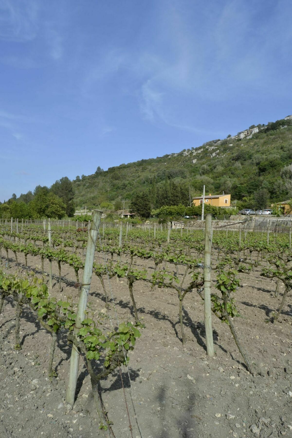 Es Morro Villa Manacor (Mallorca)