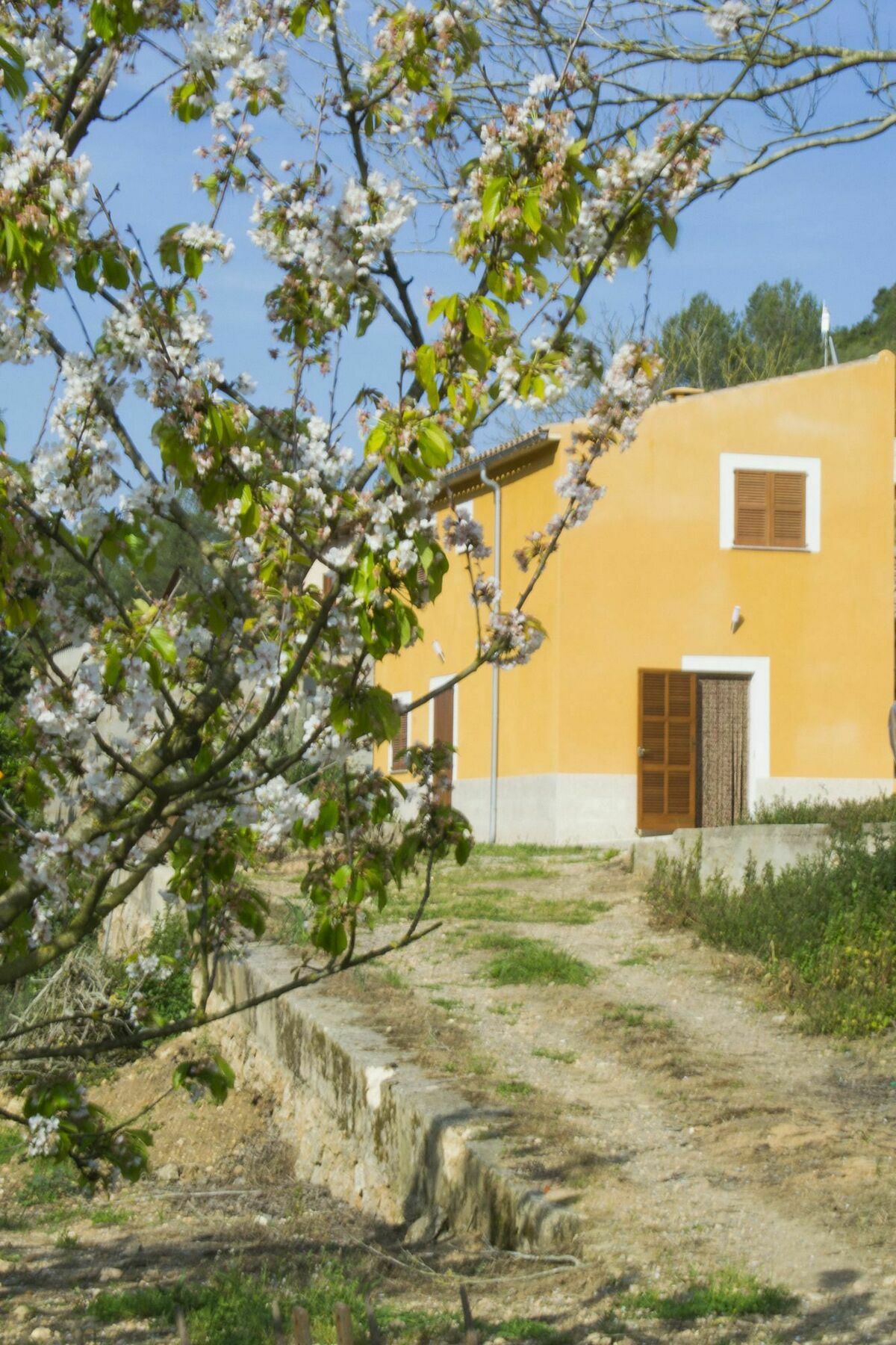 Villa Es Morro Manacor (Mallorca)