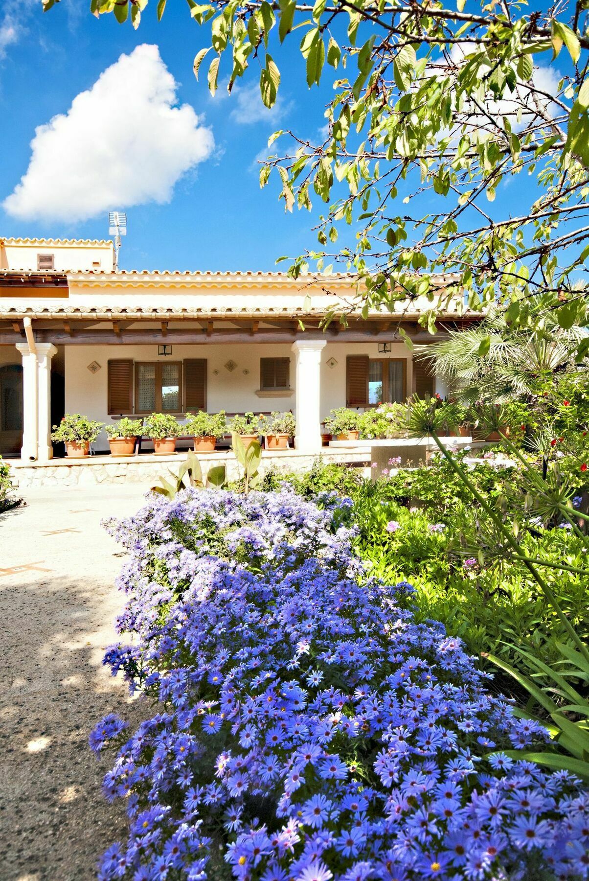 Villa Rosaleda