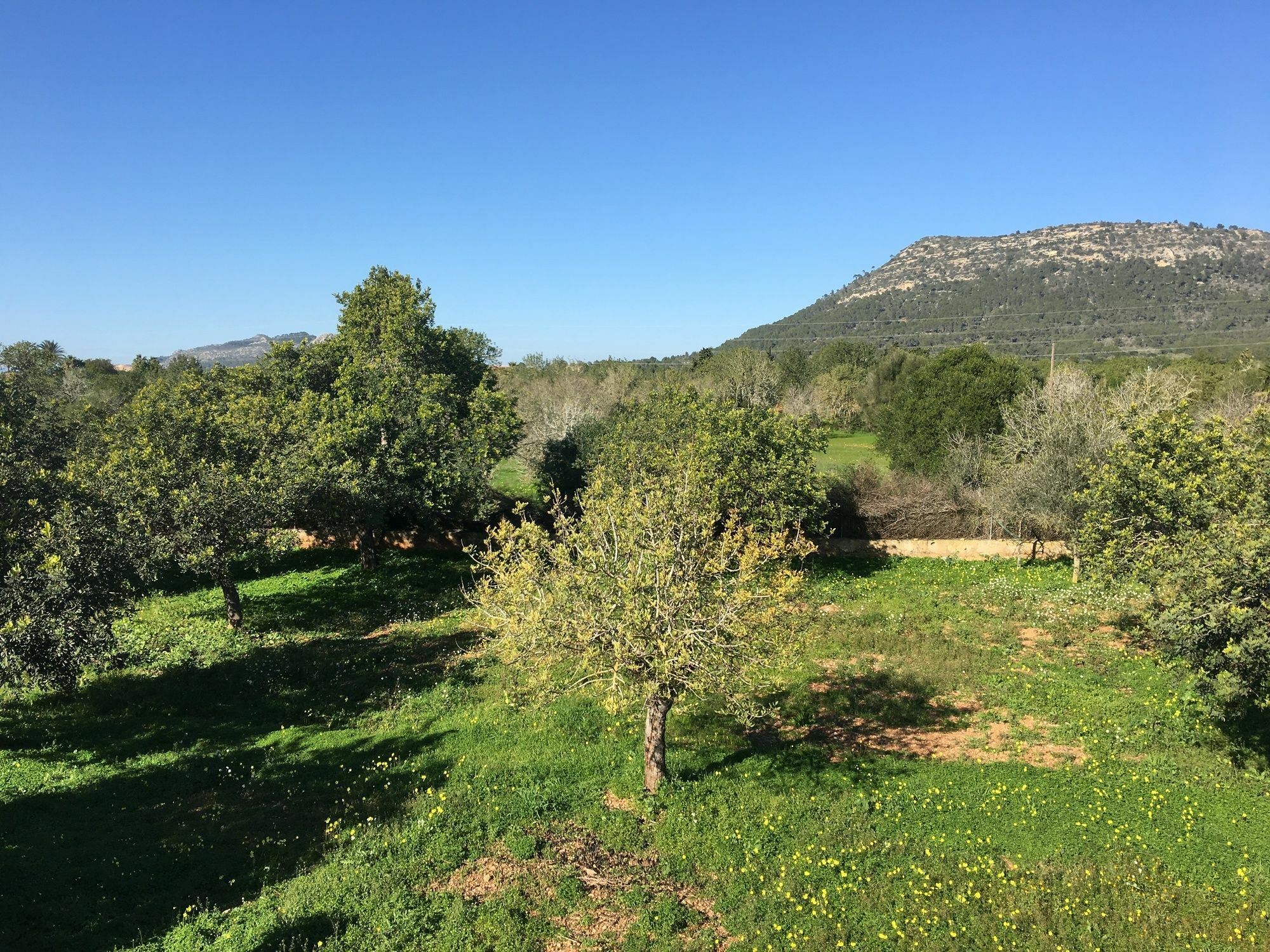 Son Sampol * Llucmajor (Mallorca)