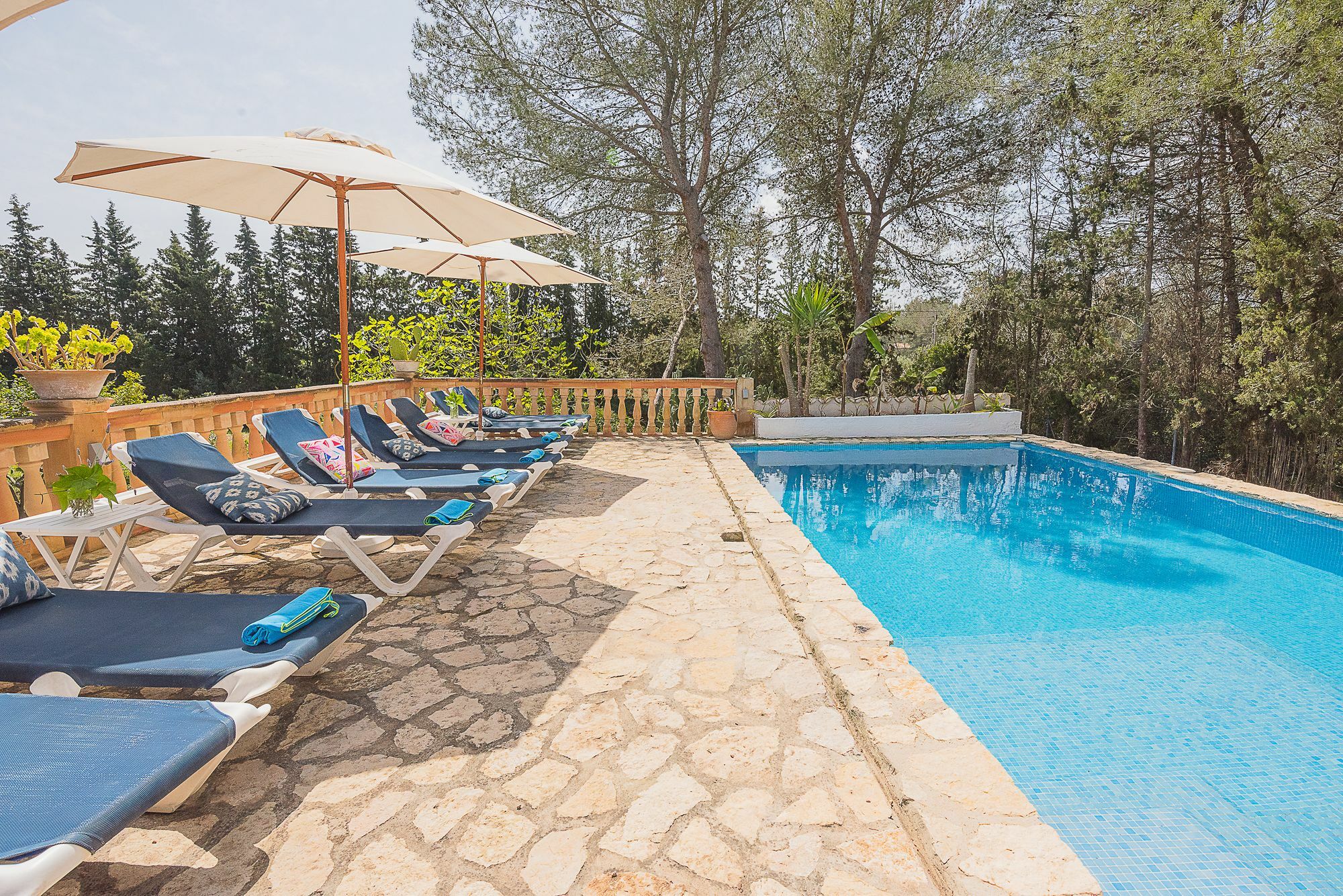 Villa El Pinar *