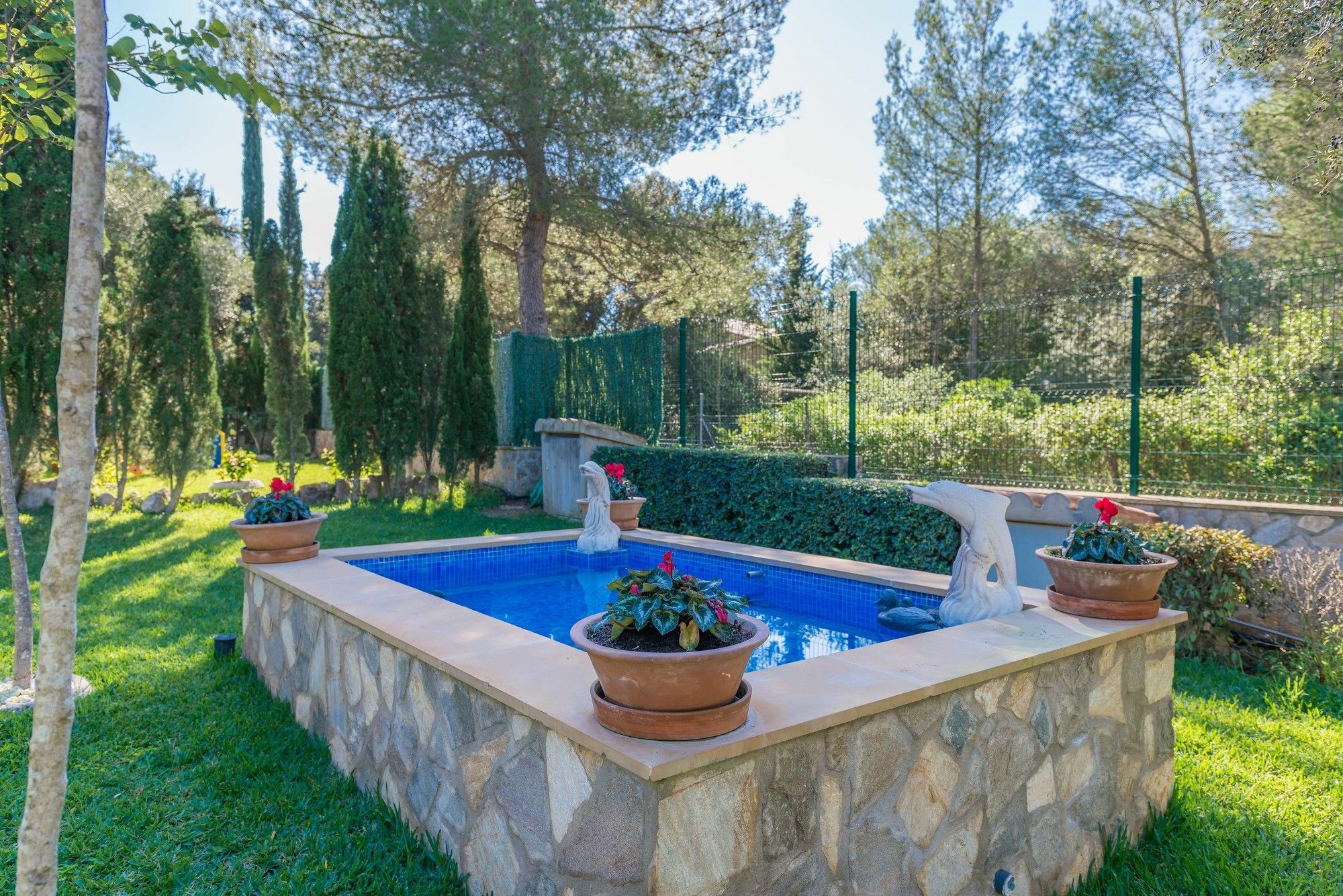 Villa Llamas *