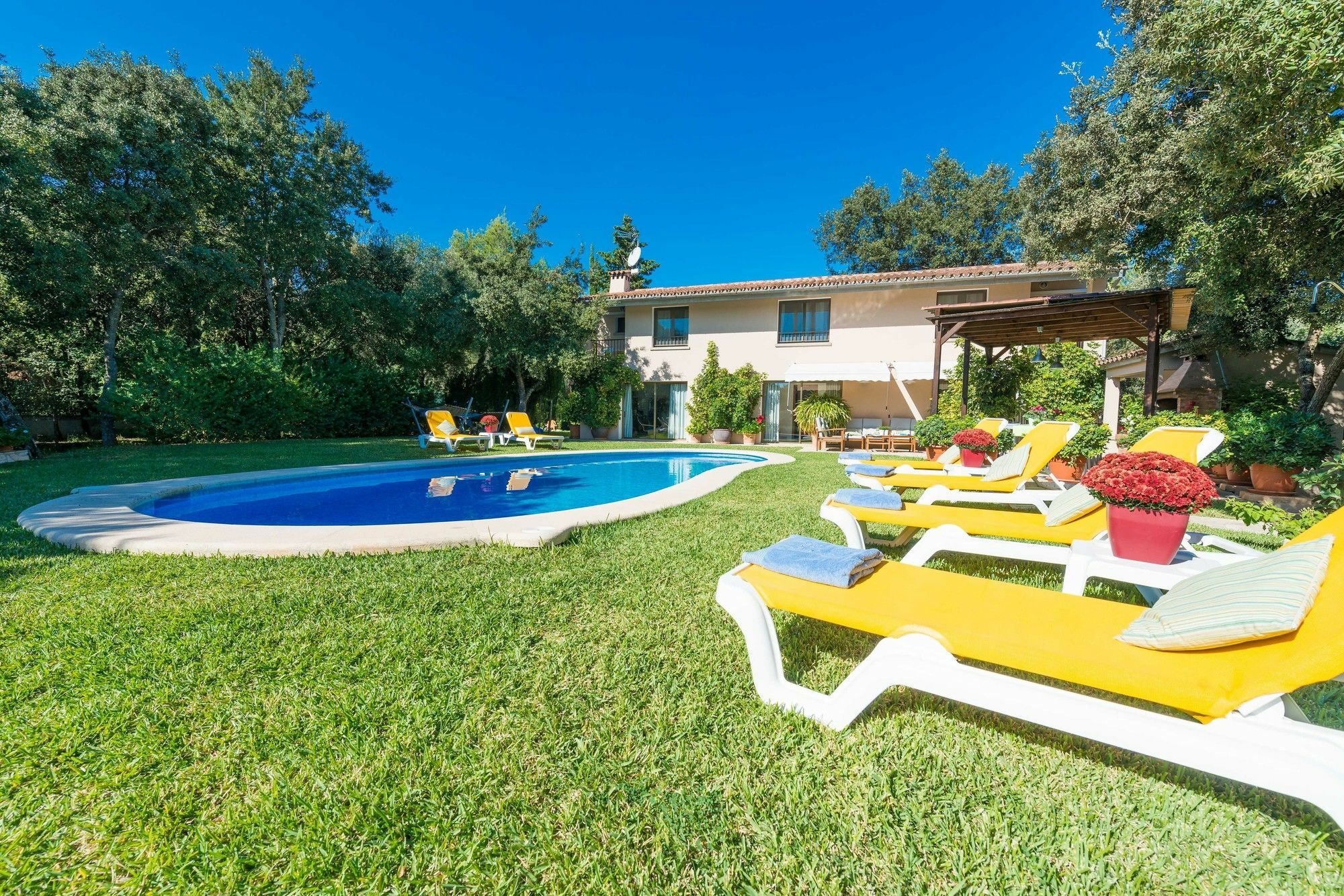 Llamas Villa Pollensa