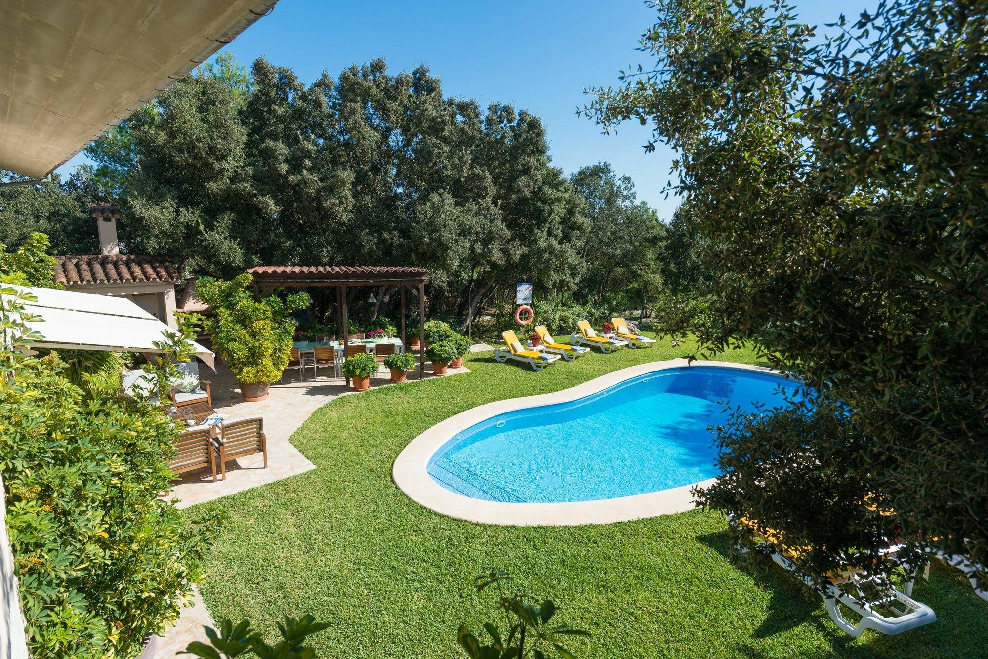 Llamas Villa Pollensa