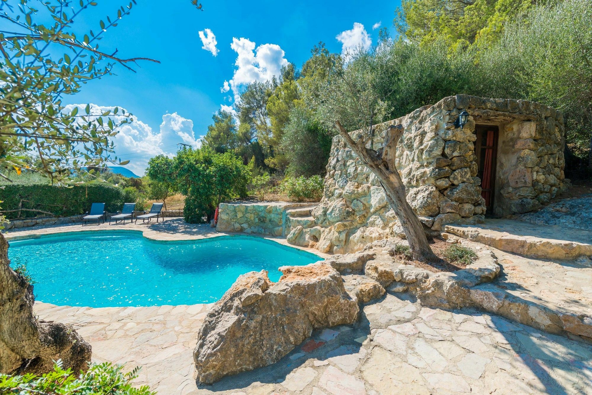 Son Rio Vell I Holiday home *