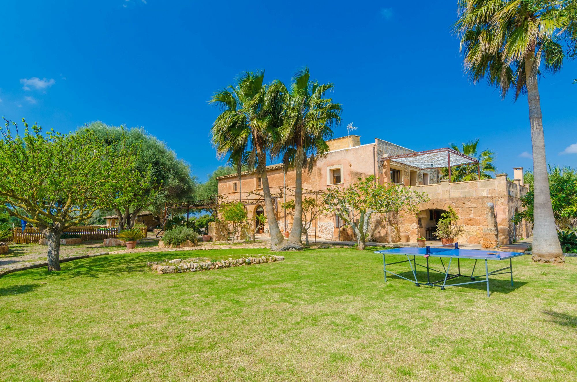 Cortera 1 * Llucmajor (Mallorca)