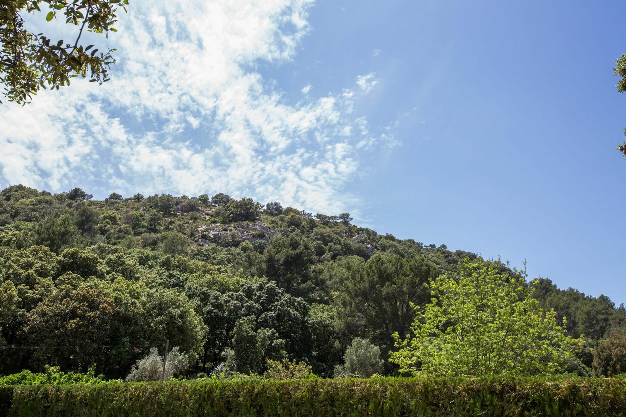 Villa Torres Pollensa