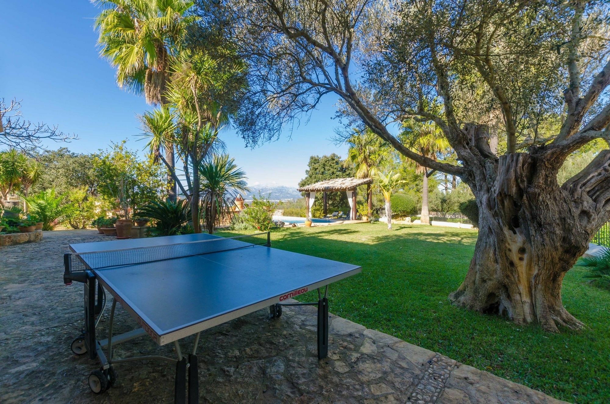 Puig Den Conet Costitx (Mallorca)