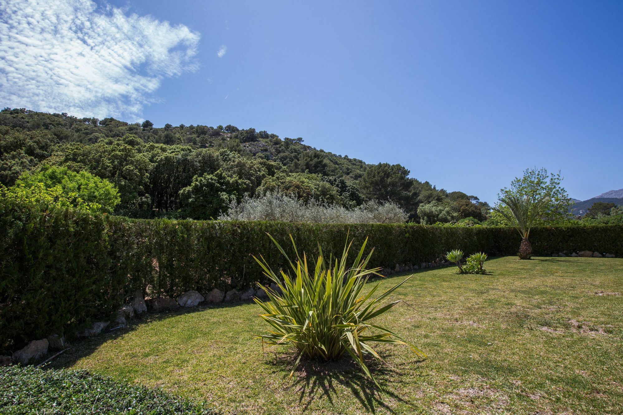 Torres * Pollensa