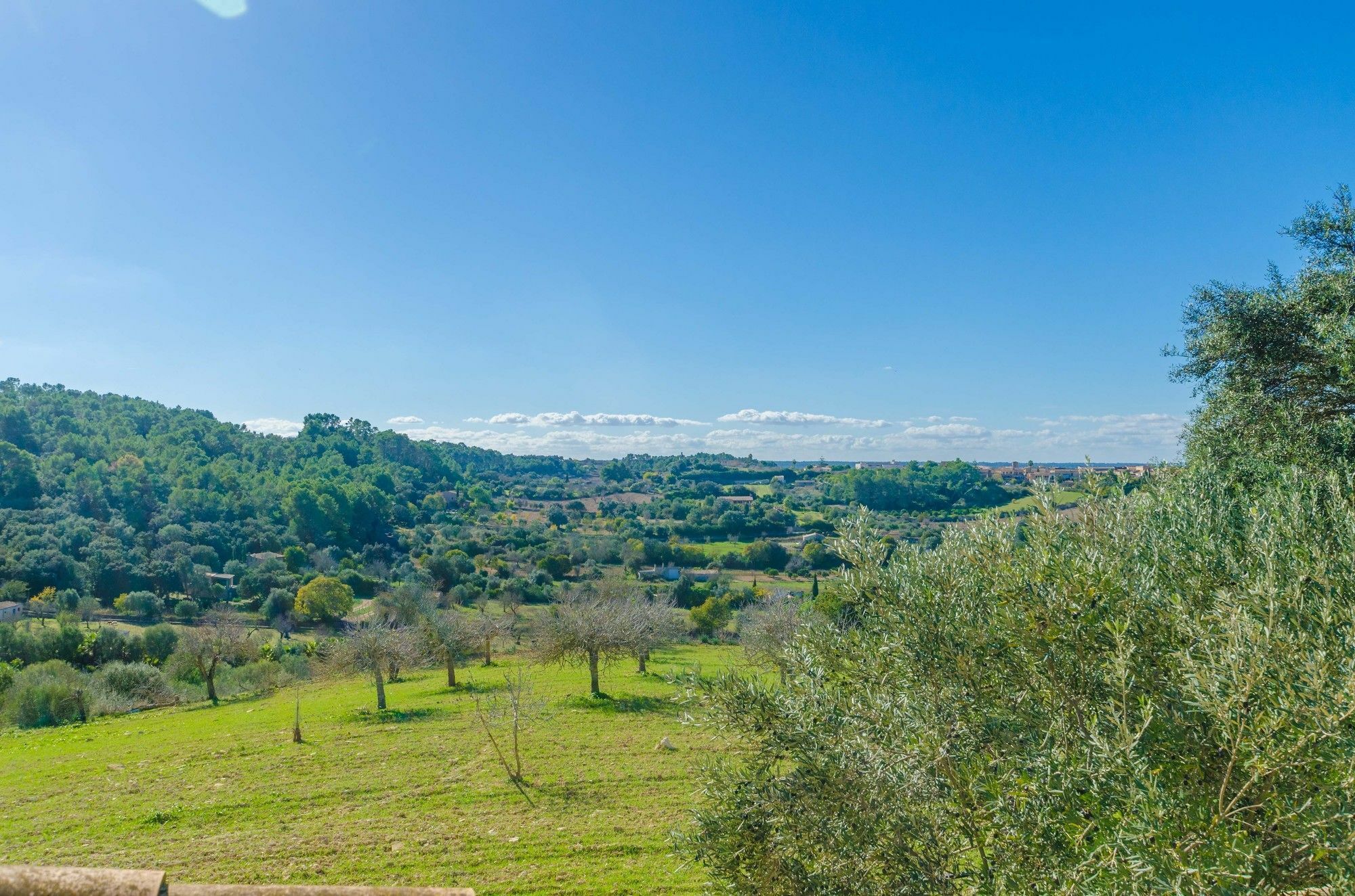 Puig Den Conet Villa *