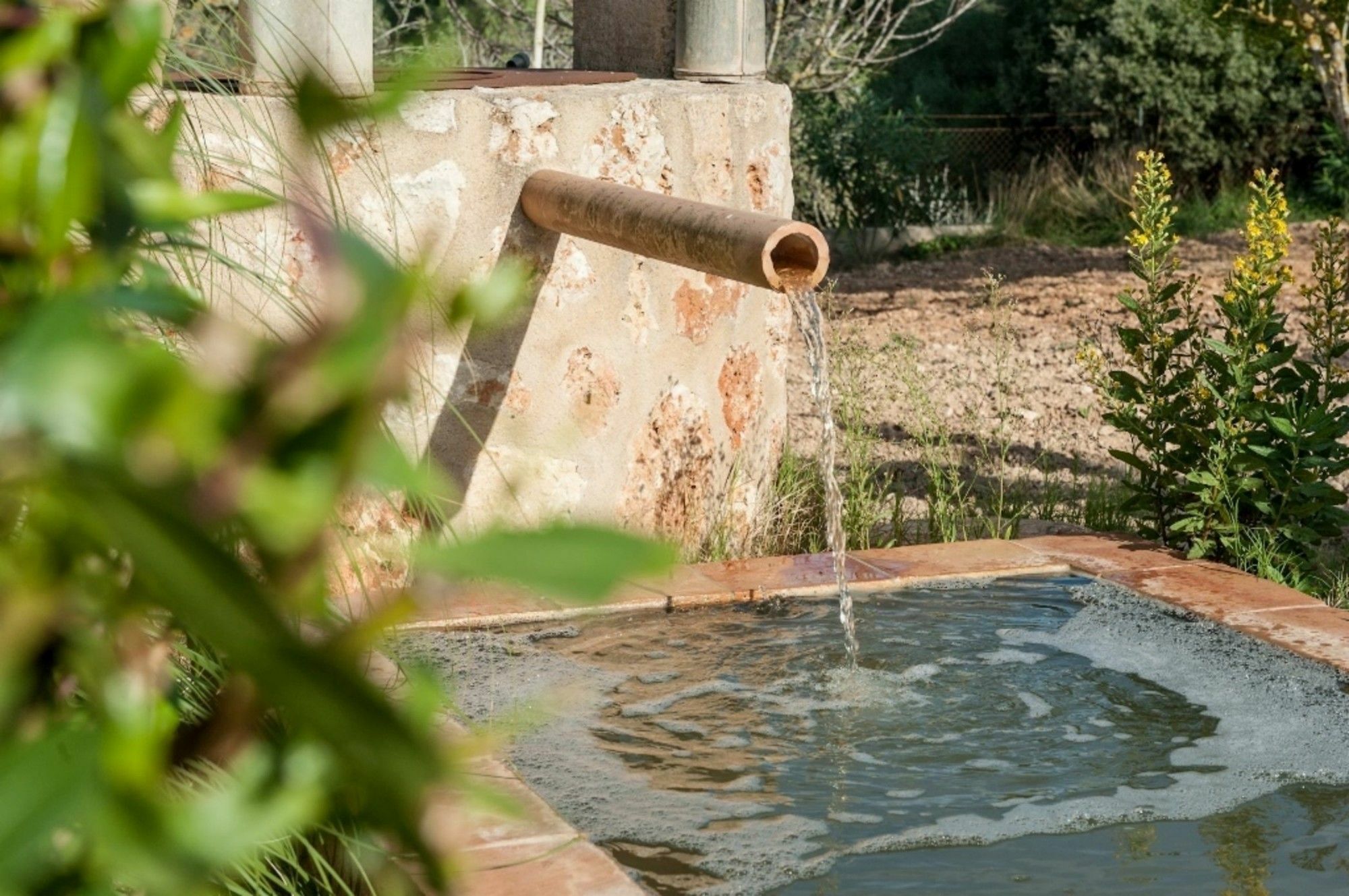 Villa Puig Den Conet *