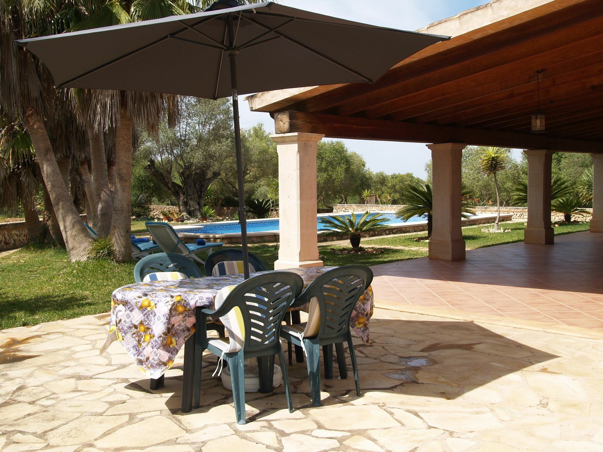Palea Villa *