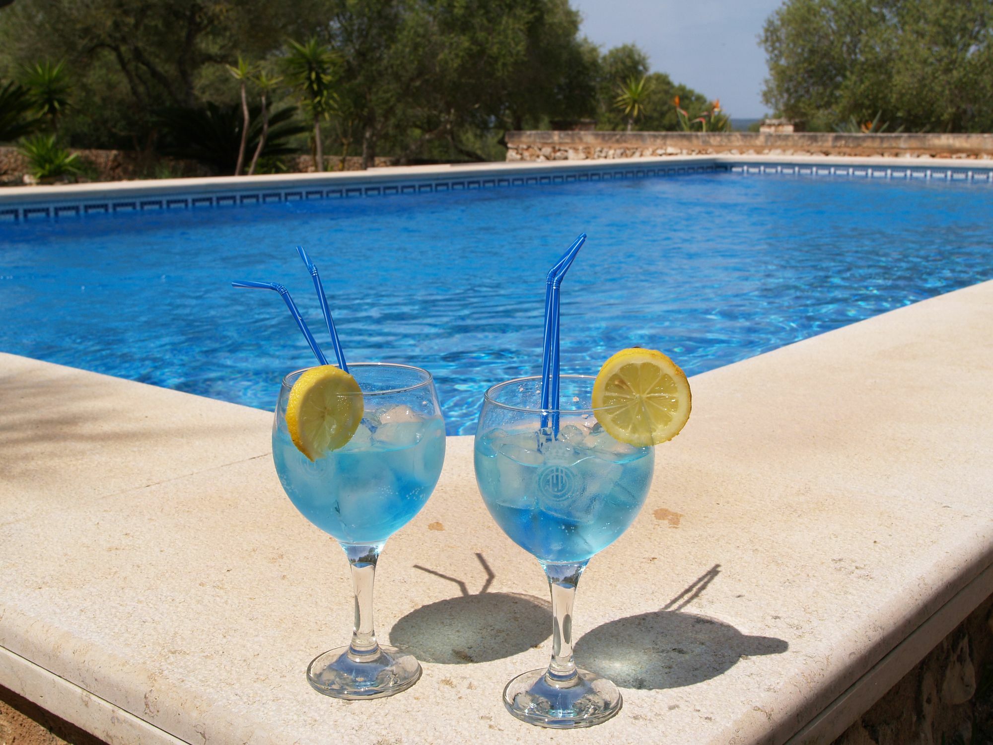 Palea * Campos (Mallorca)