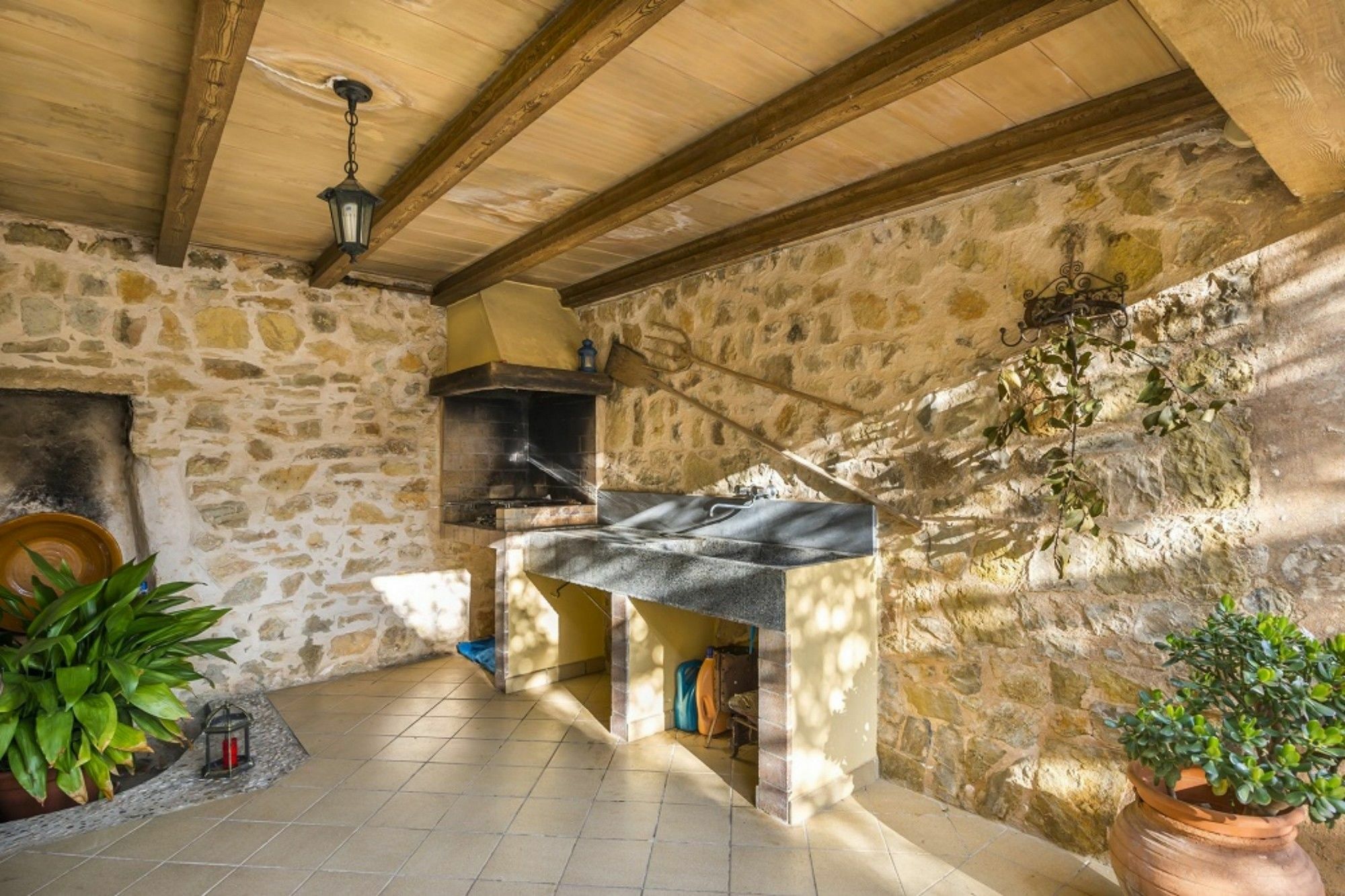 Liatris Villa *