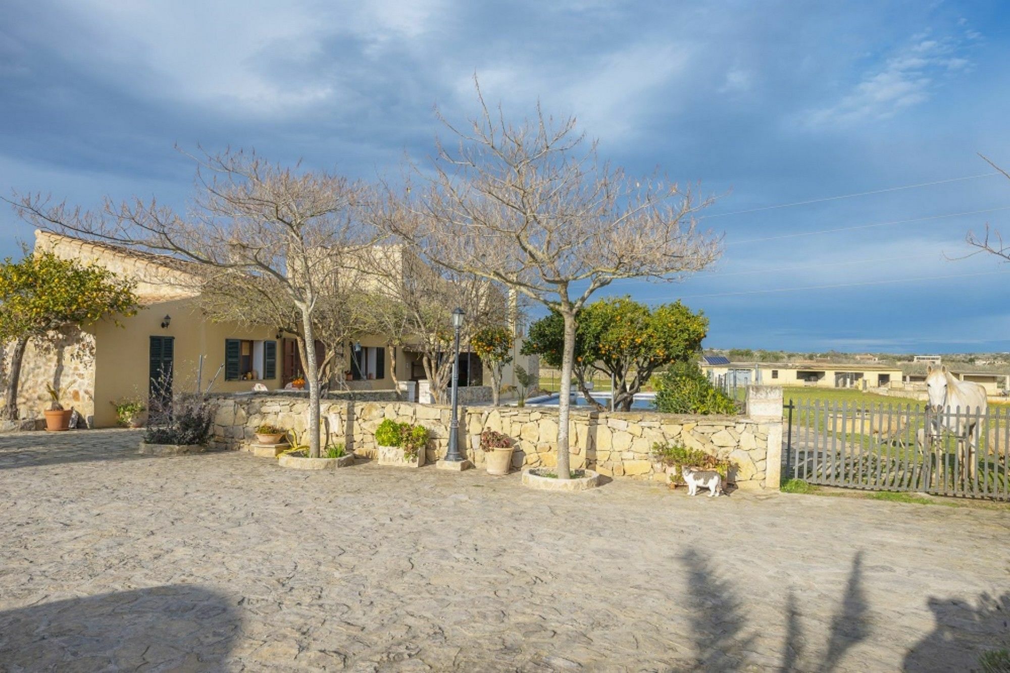 Villa Liatris
