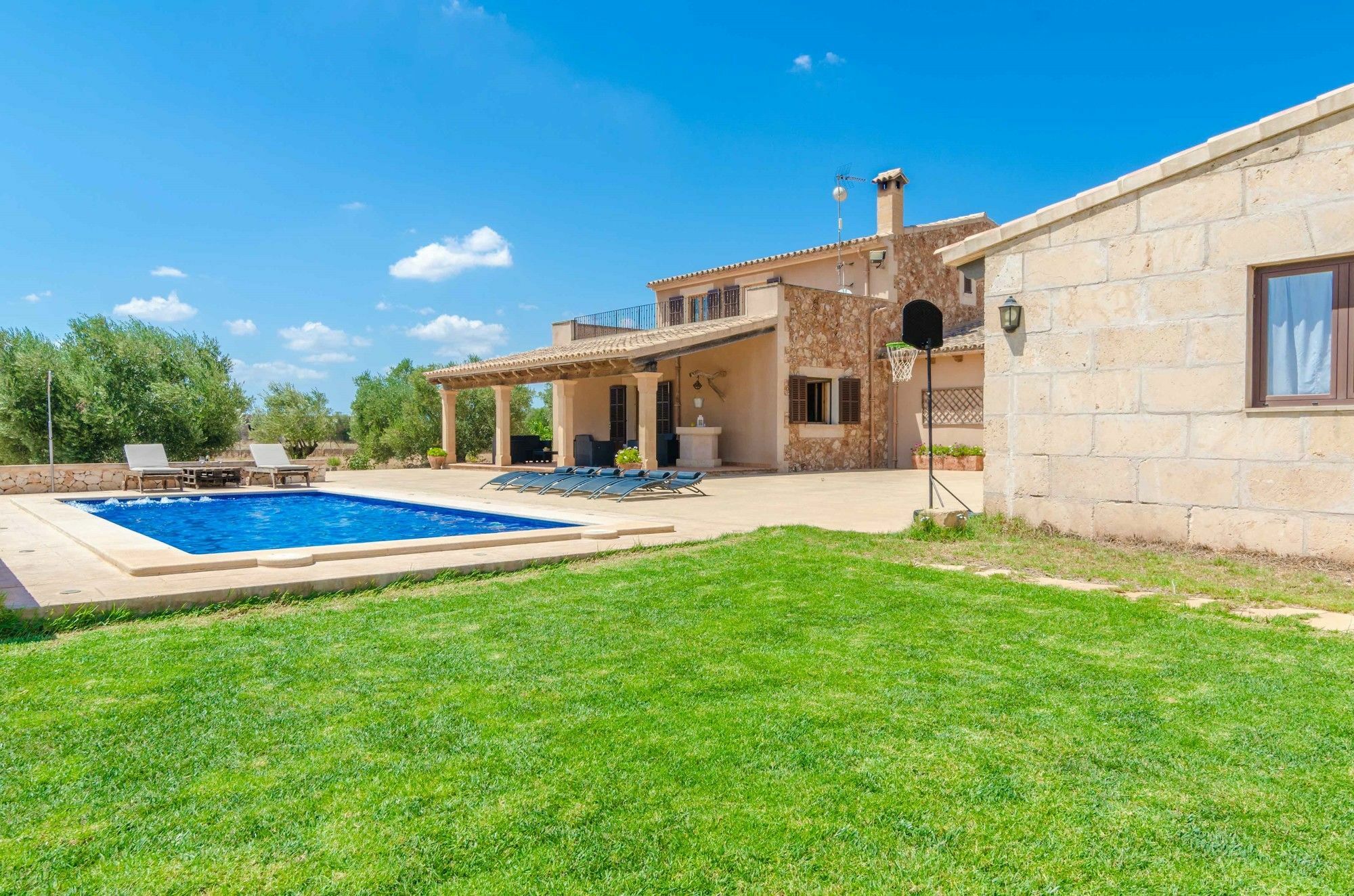 Cotoneta * Campos (Mallorca)