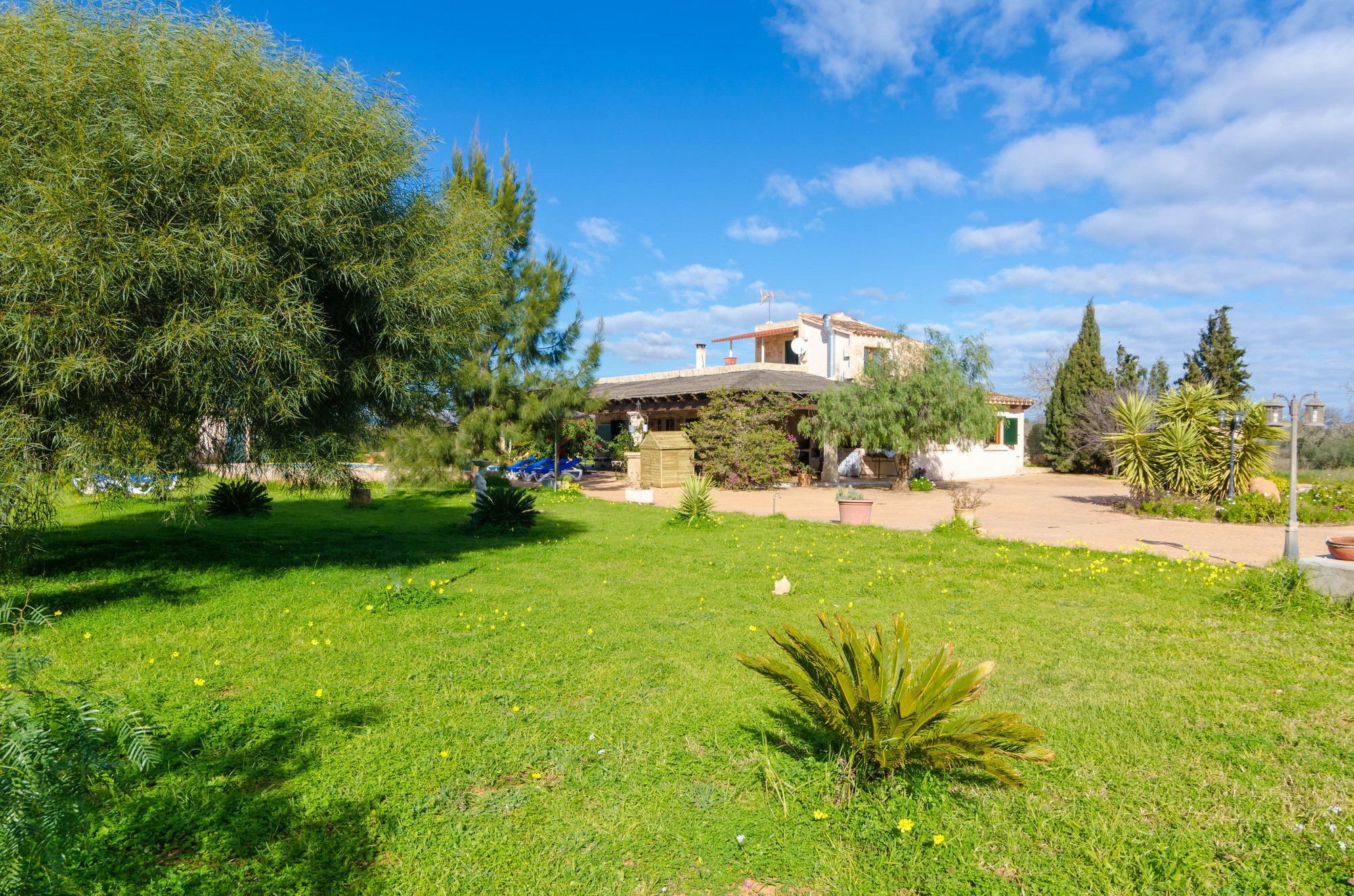 Tolo Pocaroba Villa Campos (Mallorca)