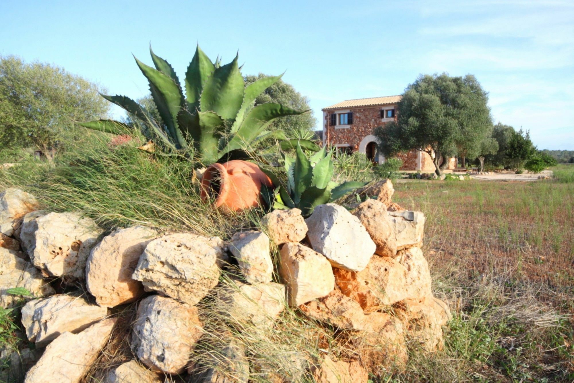 Villa Cotoneta *
