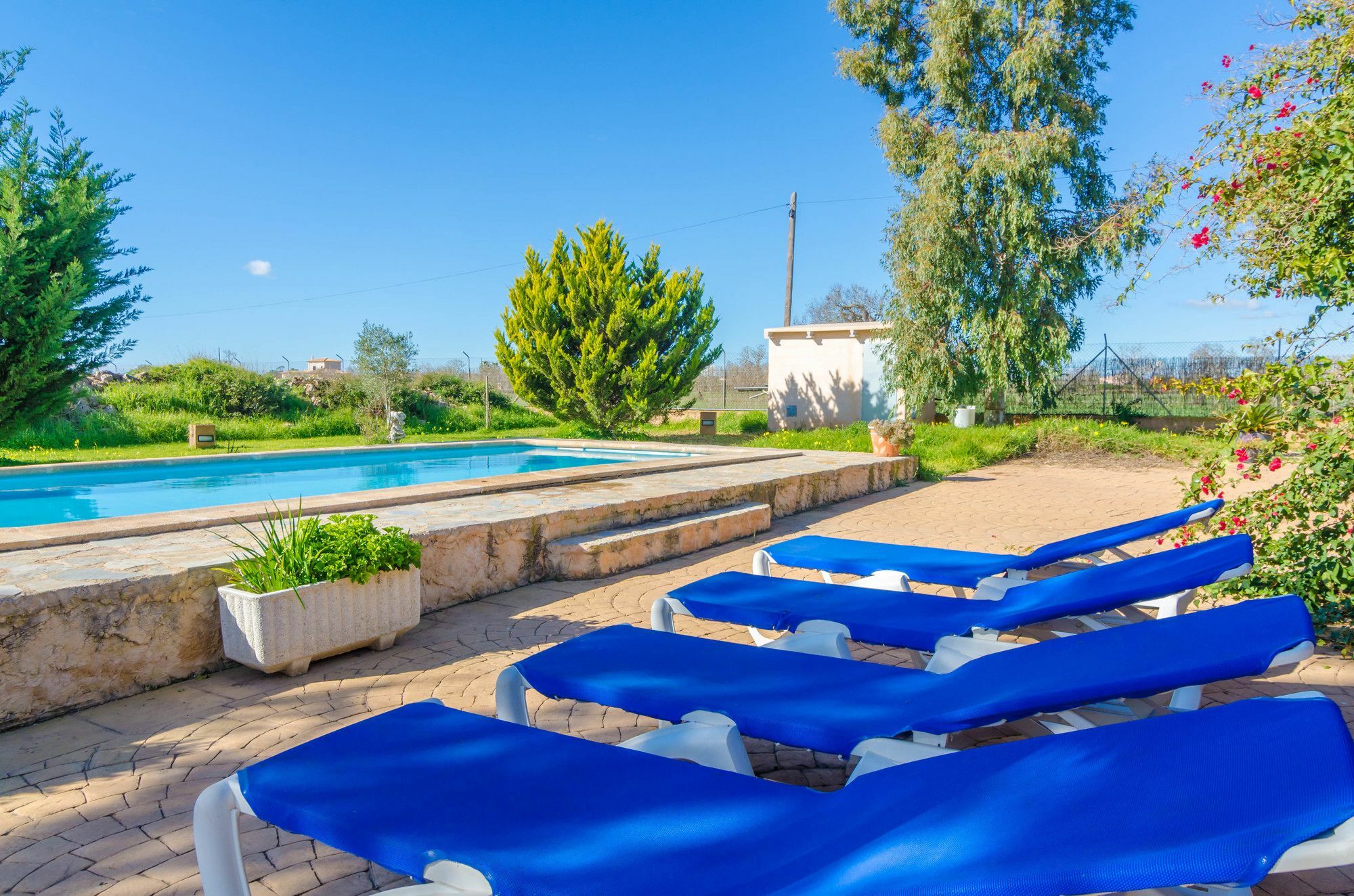 Villa Tolo Pocaroba