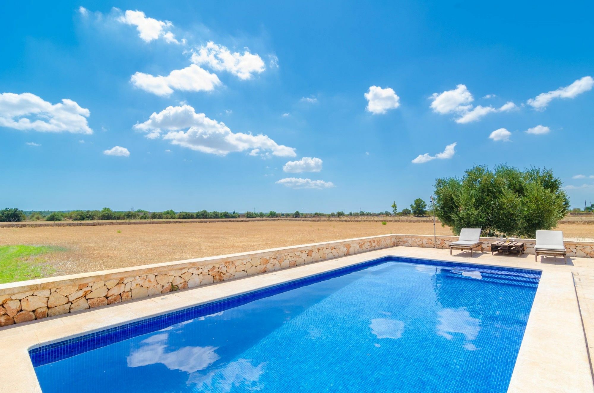 Cotoneta Villa Campos (Mallorca)