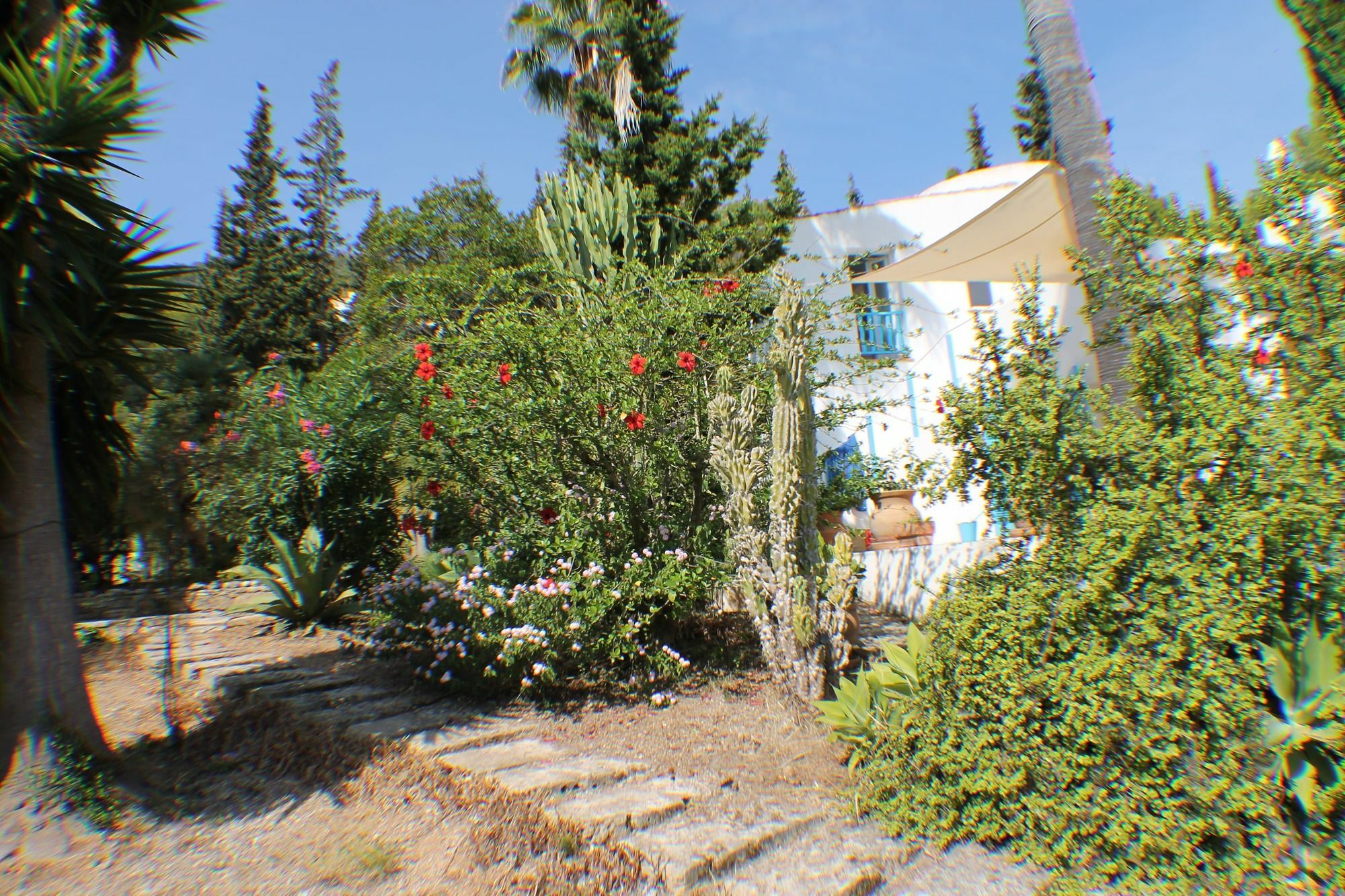 Casa Ibicenca - Canyamel