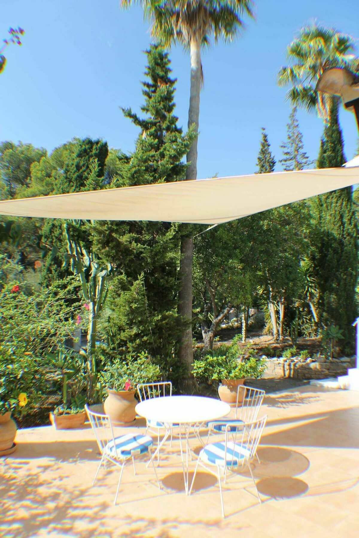 Casa Ibicenca - Canyamel