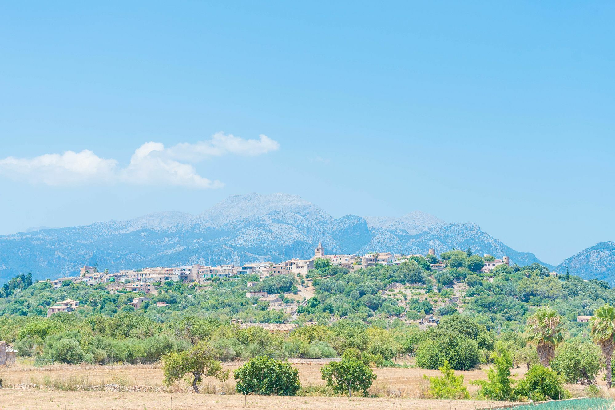 Carretxet Villa *