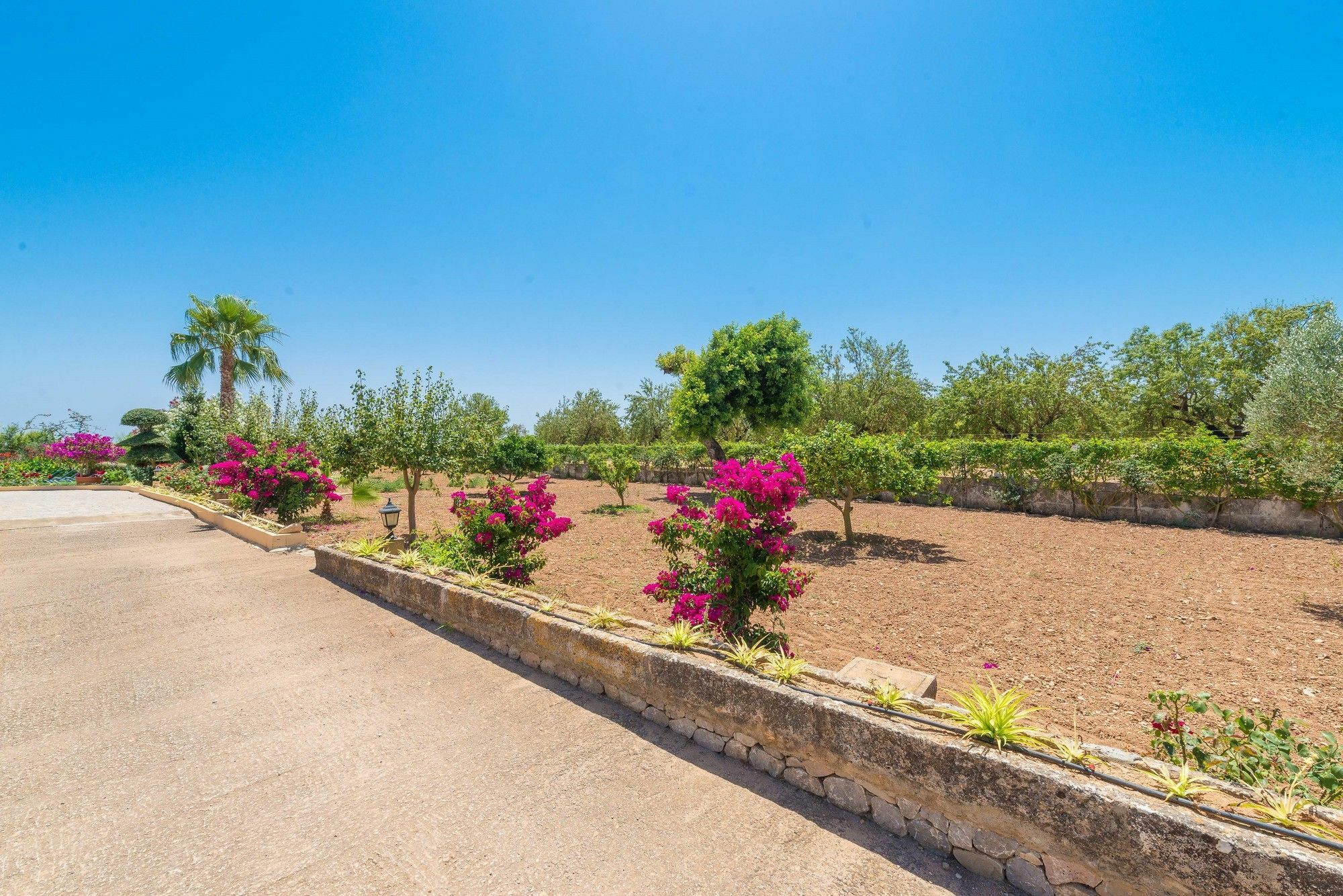 Villa Carretxet Sa Pobla