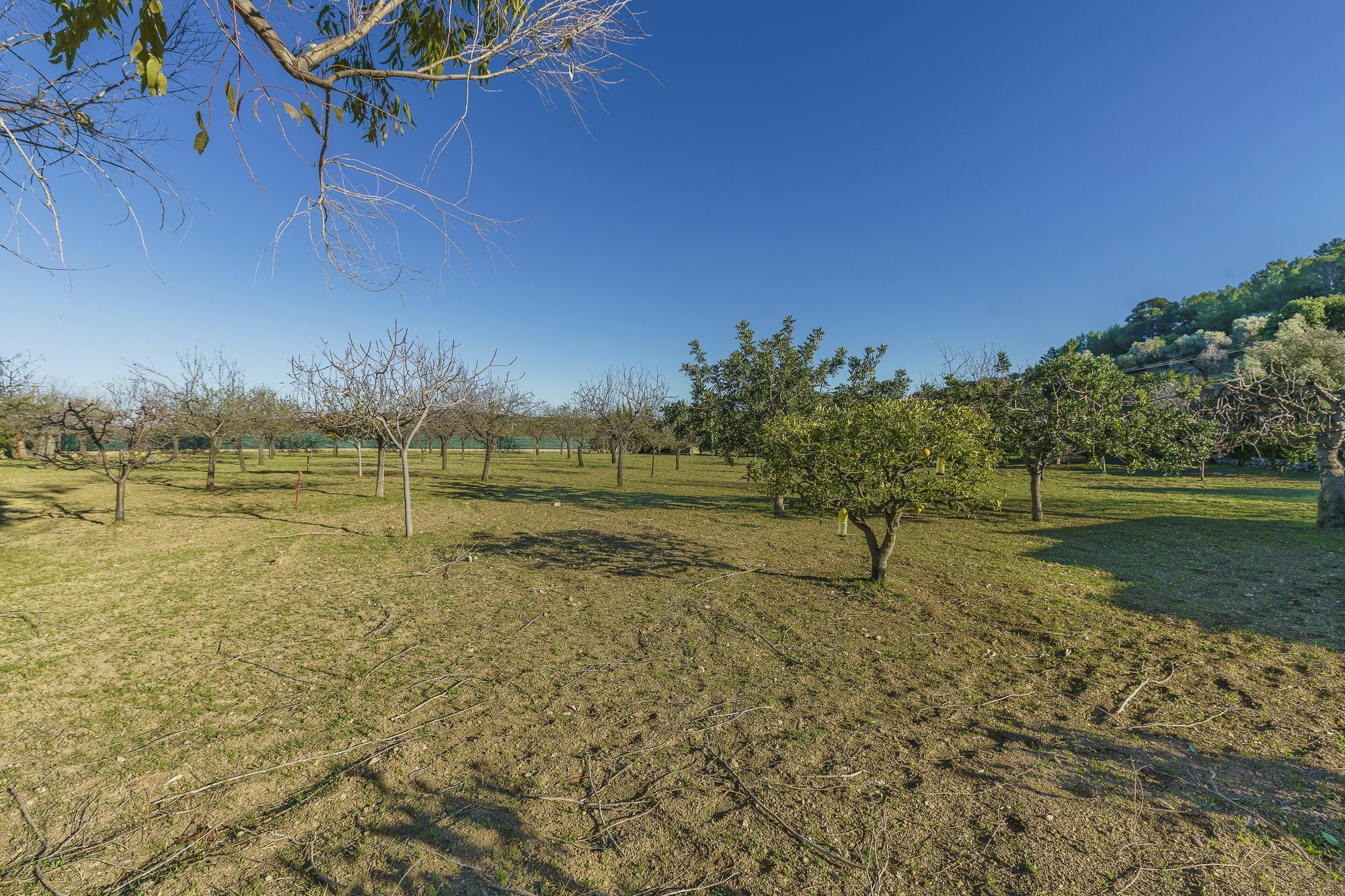 Villa Moreu