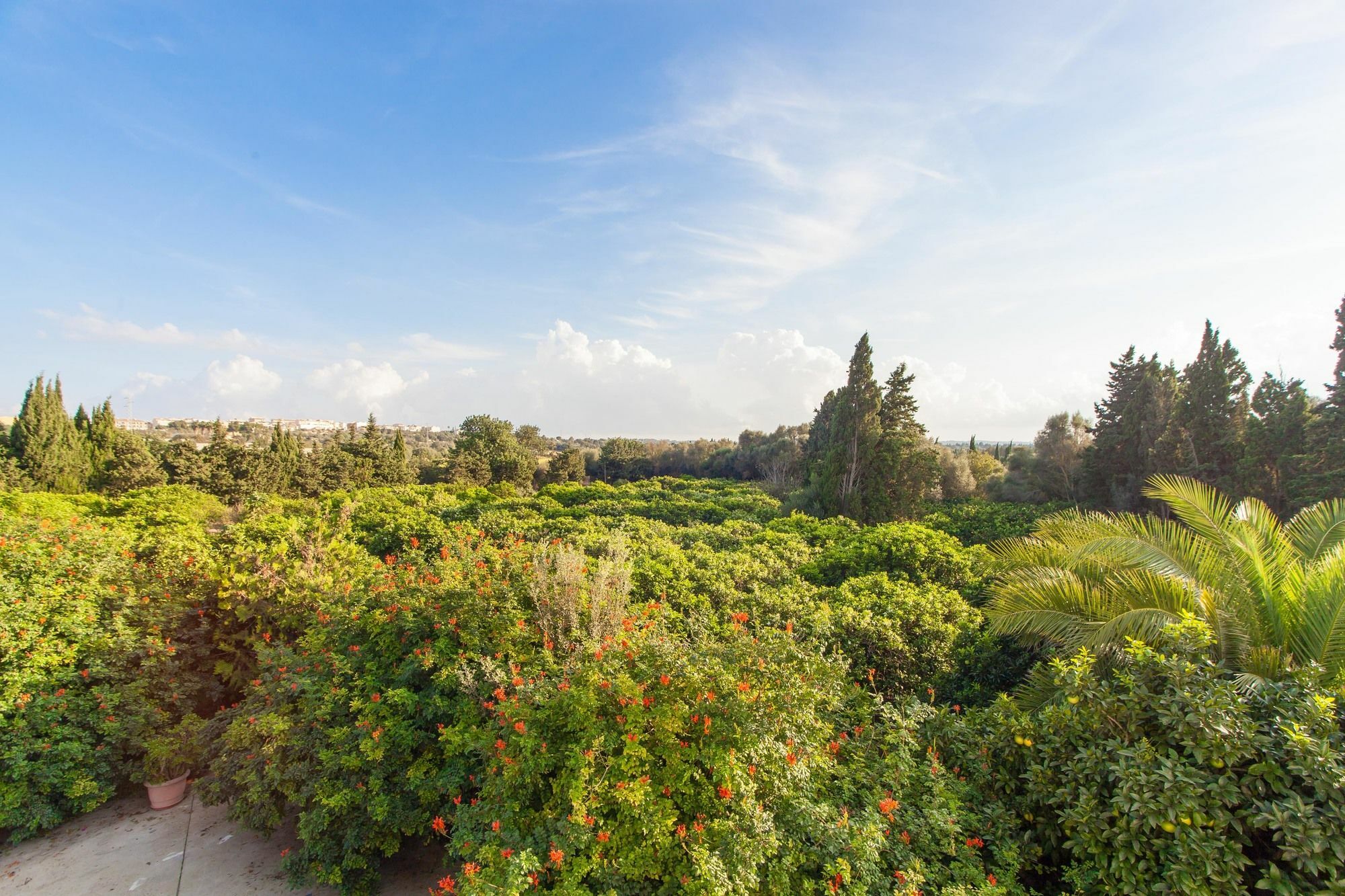 Villa Joana *