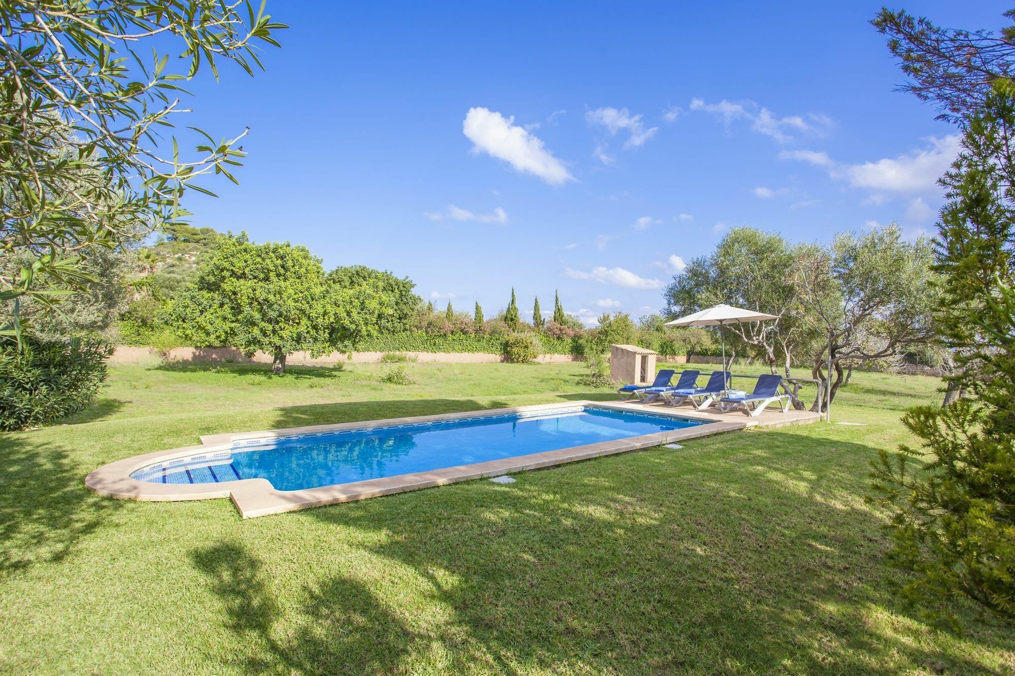 Andreu Villa