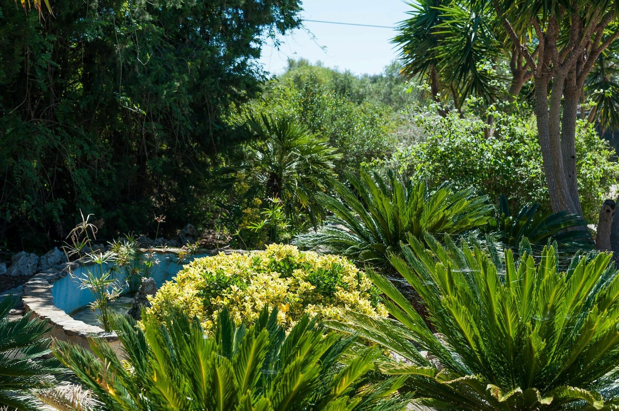 Villa Conchita *