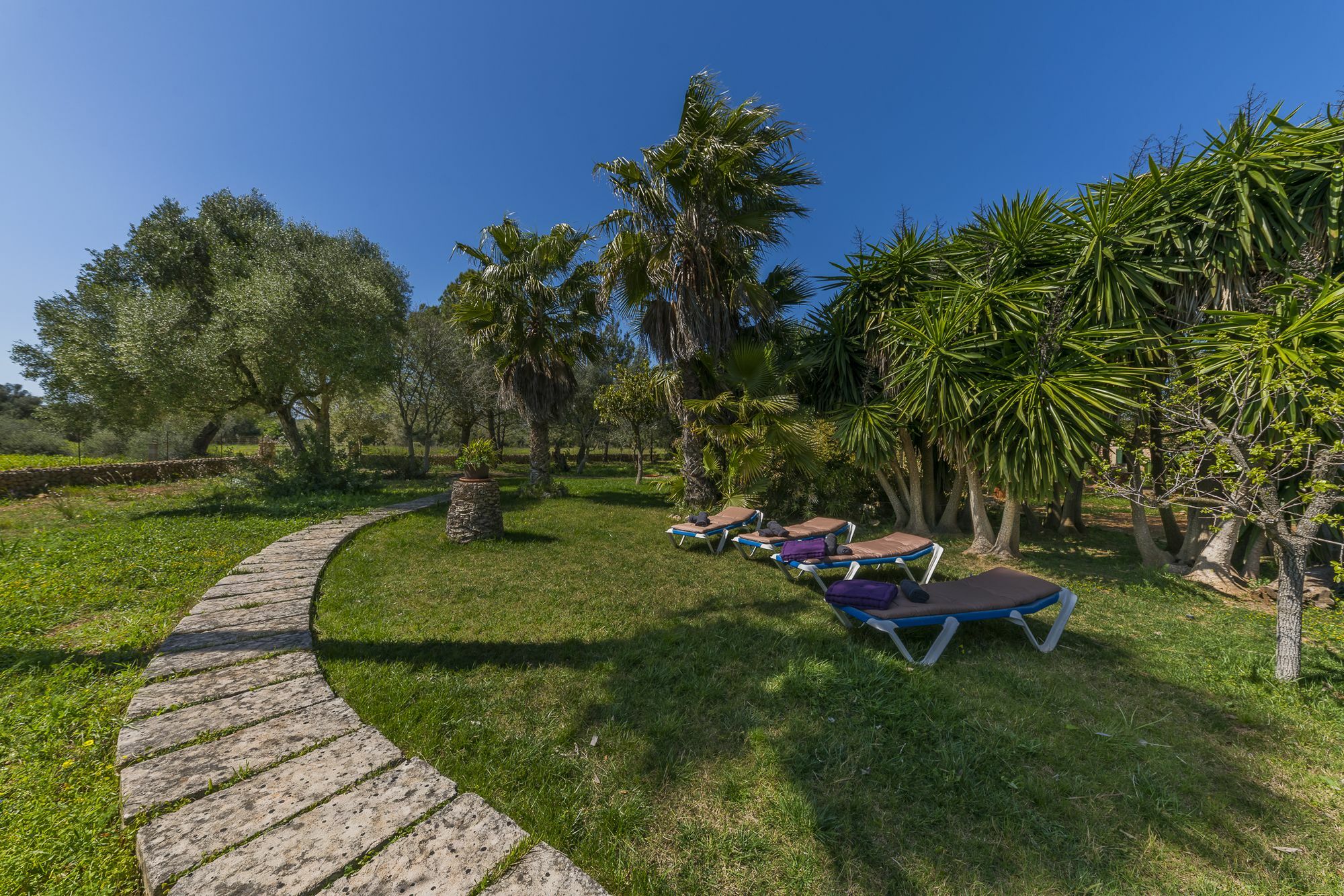 Villa Son Ramonet Llubí