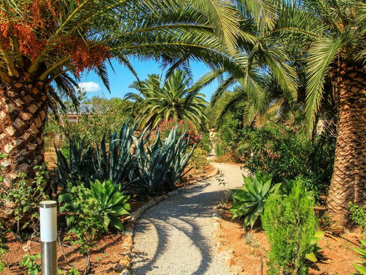 Rural Predio Son Serra Country house Can Picafort (Mallorca)