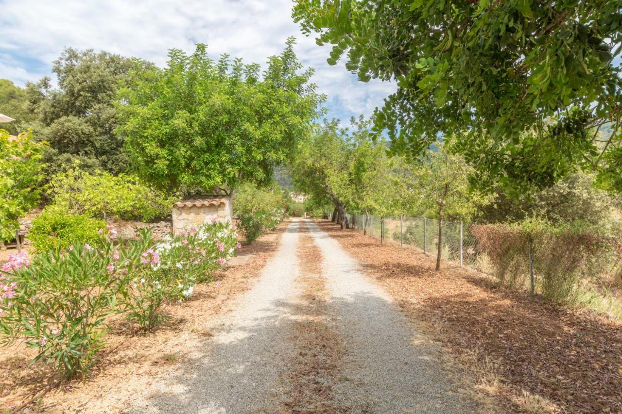 Mallorca - 293698 Сasa de vacaciones Esporles (Esporlas)