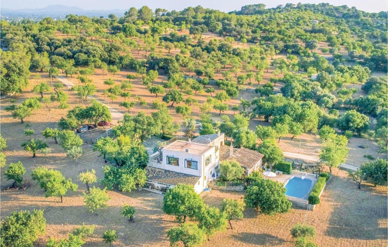Pet Friendly In Selva With Kitchen Apartamento *