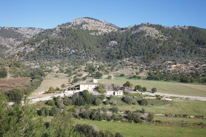 Monnaber Vell Campanet
