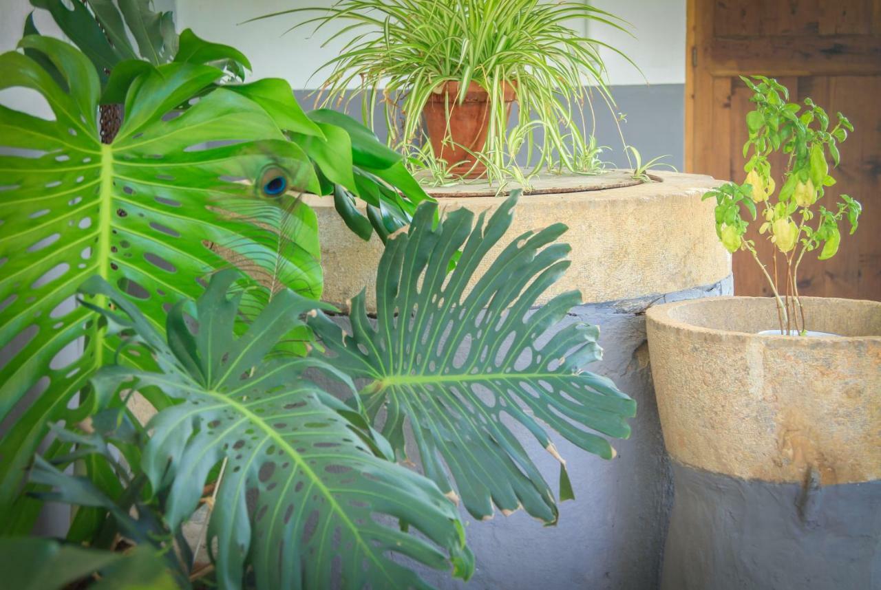 Hostal Sa Fita Backpackers - Juvenil