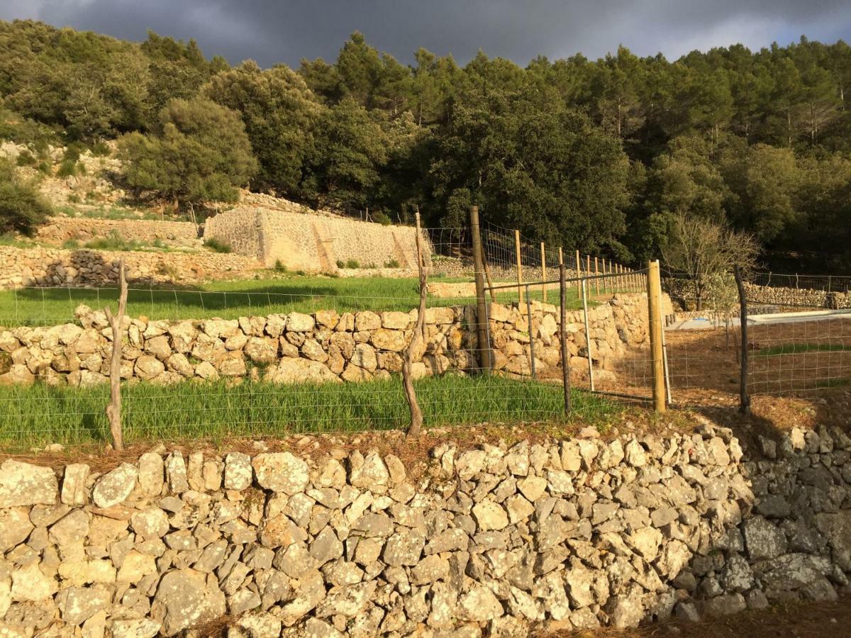 Agroturismo Son Alzines *